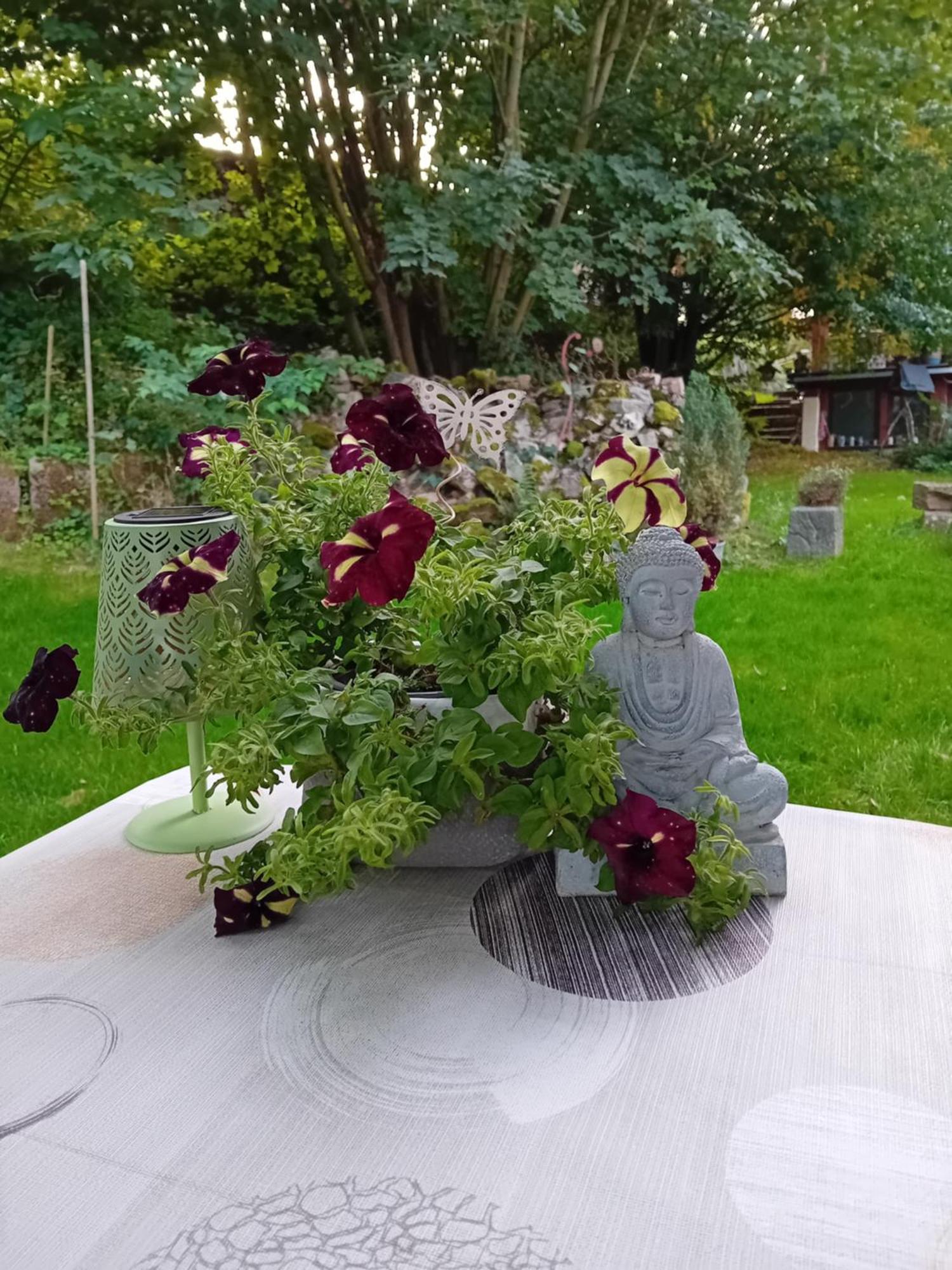 Ferienhaus Mit Garten Im Odenwald Zu Vermieten Frankisch-Crumbach Екстериор снимка